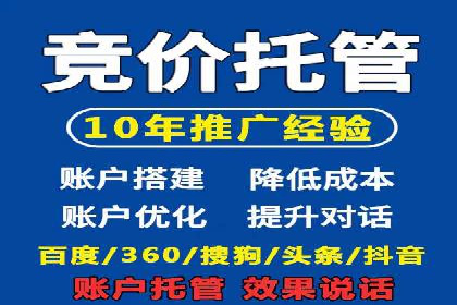 SEM运营中的数据分析和优化案例研究
